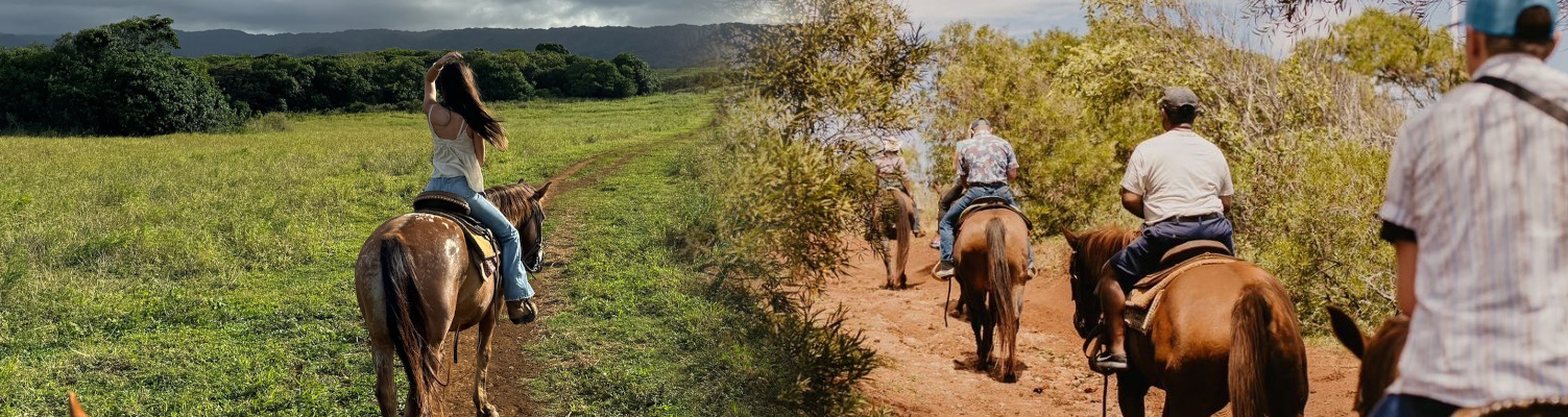 1 Hour Scenic Horseback Ride
