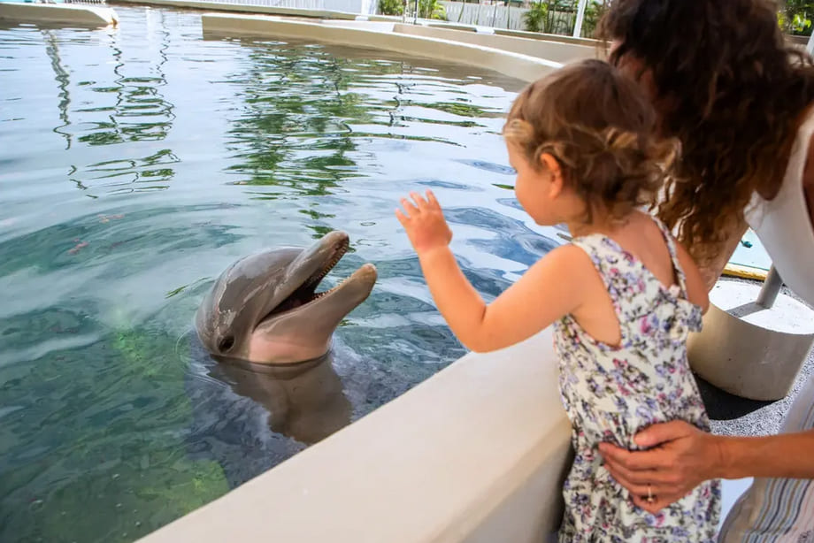 Sea Life Park Hawaii - Dolphin Aloha Sea Life Park Hawaii - Dolphin Aloha