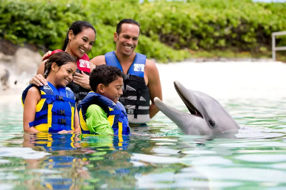 Sea Life Park - Dolphin Exploration Sea Life Park - Dolphin Exploration