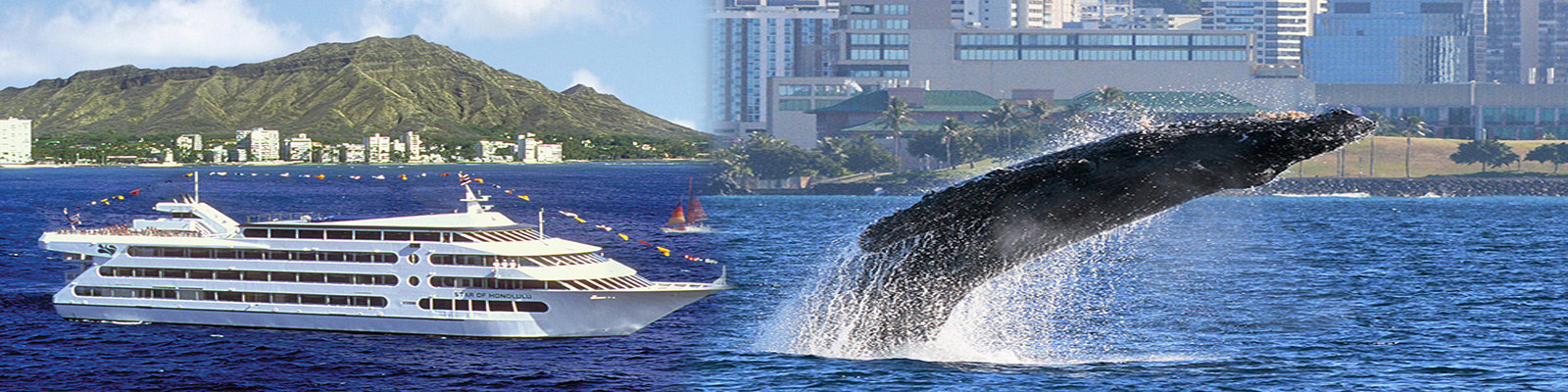 Star of Honolulu - Early Bird Whale Watch Cruise Star of Honolulu - Early Bird Whale Watch Cruise