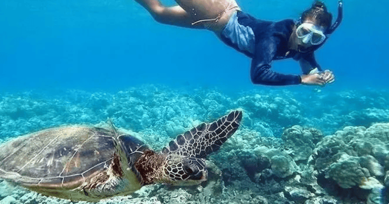 Go Adventure Hawaii - Snorkel Tour Go Adventure Hawaii - Snorkel Tour