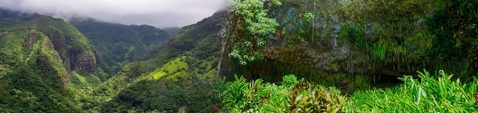 Oahu to Kauai - Waimea Canyon and Wailua River