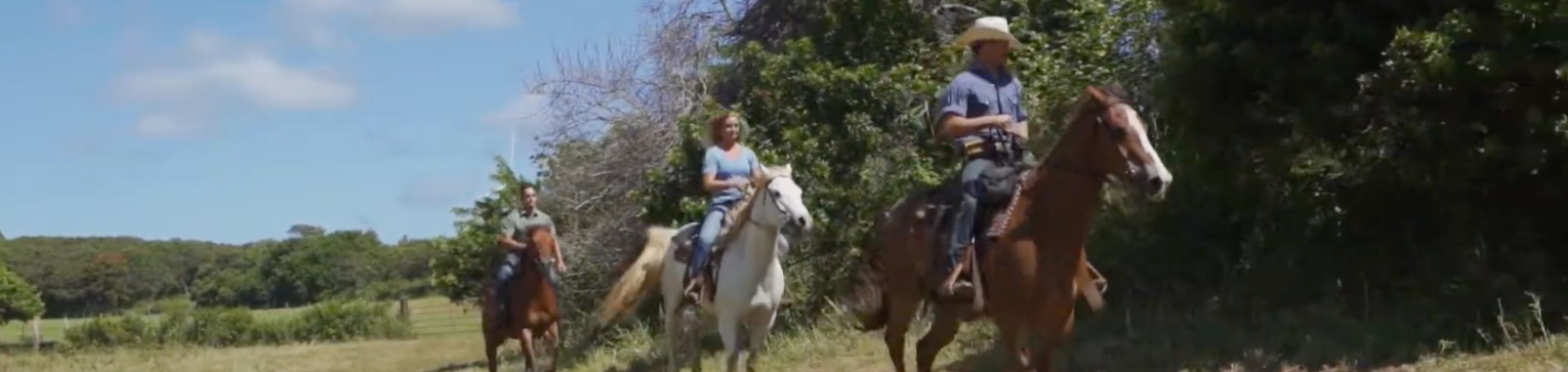 Gunstock Ranch - Advanced Trail Ride Gunstock Ranch - Advanced Trail Ride