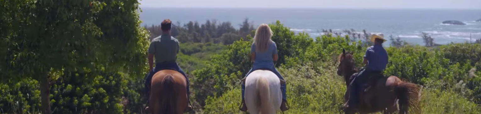 Gunstock Ranch - 1 Hour Scenic Horseback Ride Gunstock Ranch - 1 Hour Scenic Horseback Ride