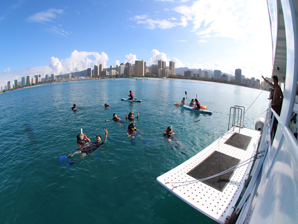 E Sea Diver Hawaii - Waikiki Turtle Snorkel