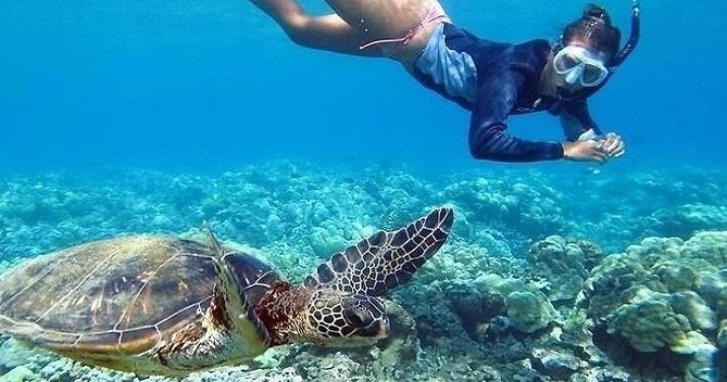Go Adventure Hawaii - Snorkel Tour