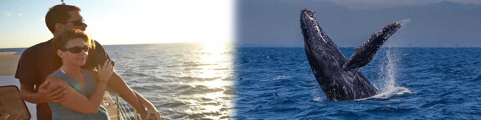 Hawaii Nautical - West Oahu Deluxe Whale Watch Sail (Waianae Harbor) 