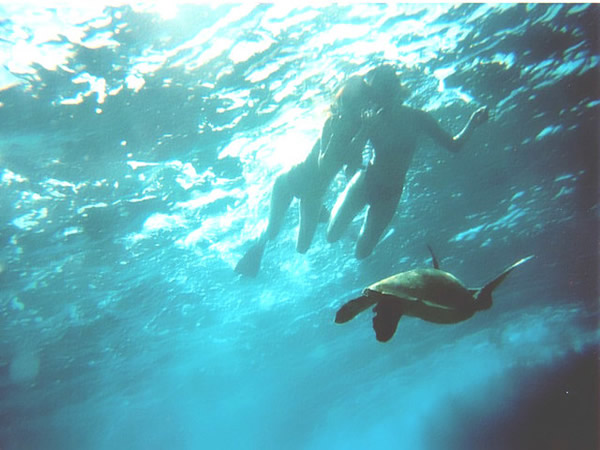 Kailua Beach Adventures - Kailua Beach Experience