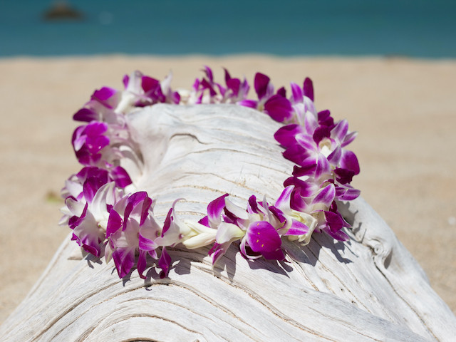 Oahu lei greetings