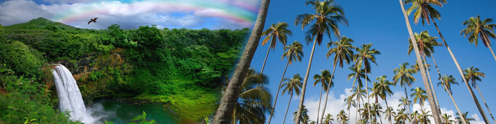 Roberts Hawaii - Oahu to Kauai: Hawaii Movie Tour 