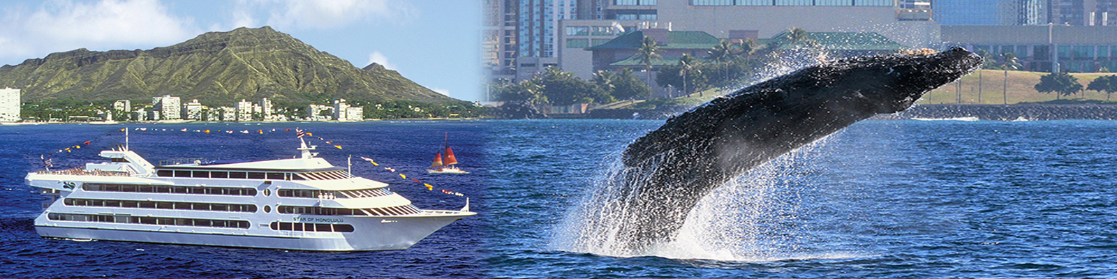 Star of Honolulu - Early Bird Whale Watch Cruise 