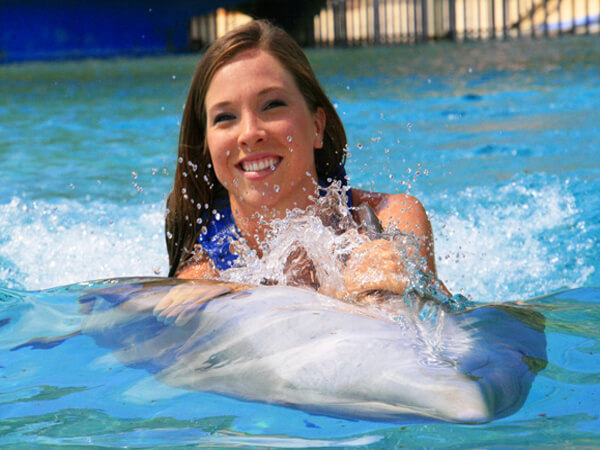 Sea Life Park Dolphin Swim Adventure