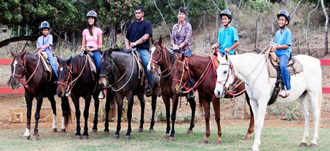 Oahu Horseback Riding Tours