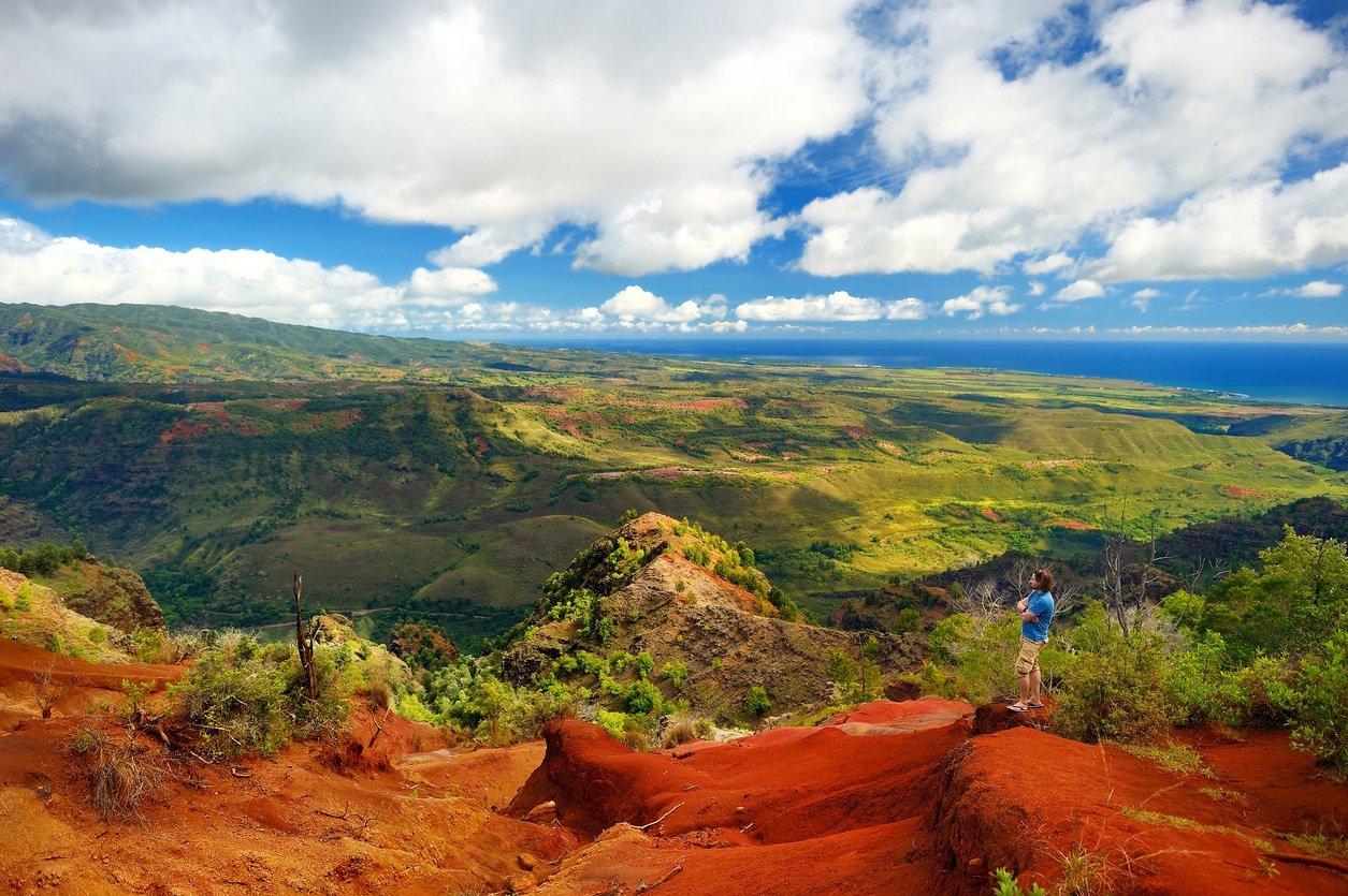 Waimea Canyon & Koke'e Valley (K4-1D) Waimea Canyon & Koke'e Valley (K4-1D)