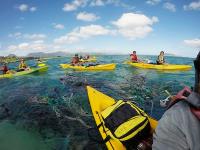 Oahu Kayaking