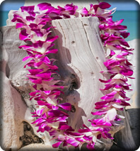 Lei Greetings