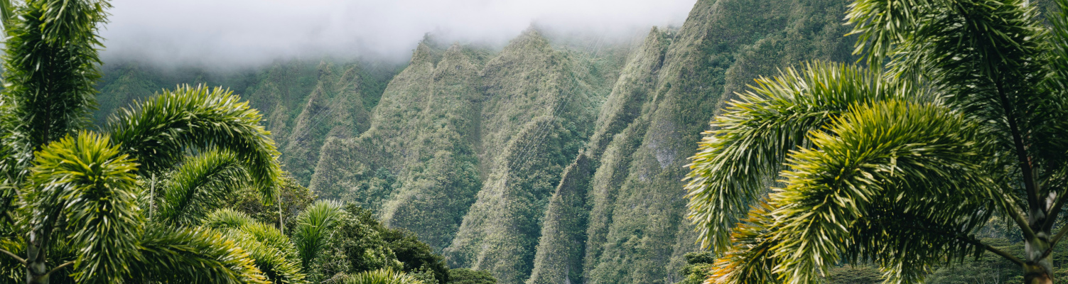 oahu discount