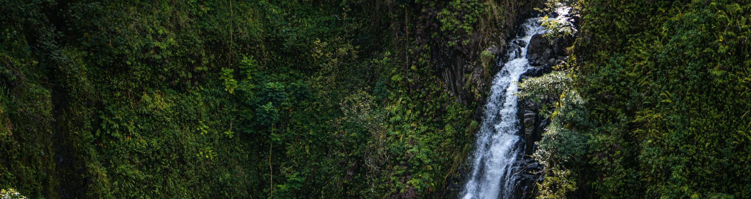 oahu-inter-island-tours.jpg oahu-inter-island-tours.jpg
