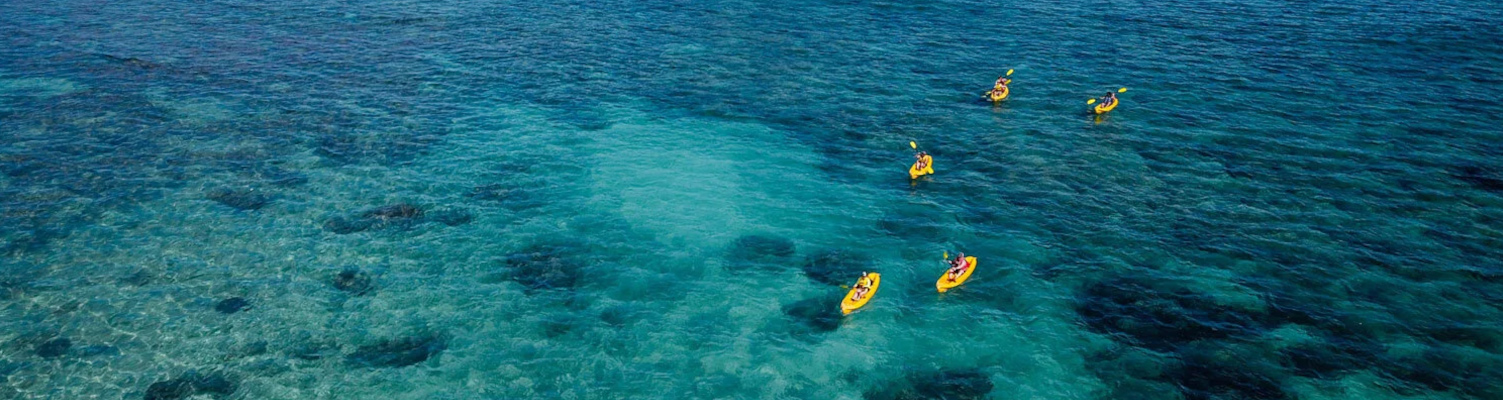 oahu-kayaking-tours.jpg