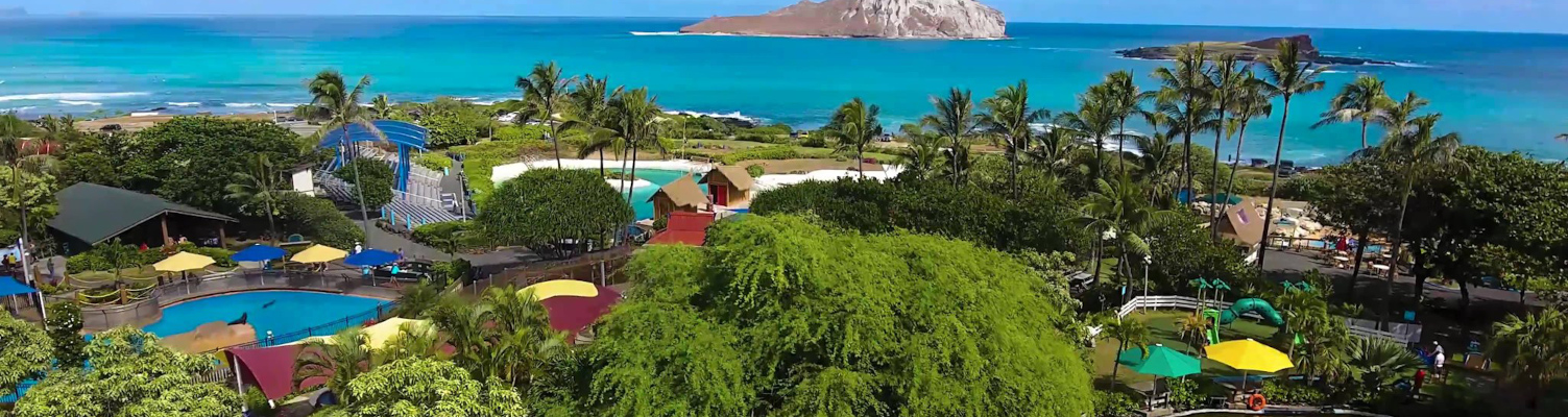 sea-life-park-oahu-hawaii-tickets.jpg sea-life-park-oahu-hawaii-tickets.jpg