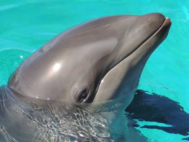 sea life park oahu reservations