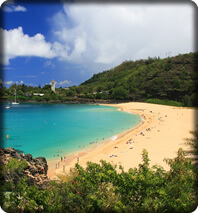 Oahu Sightseeing Tours
