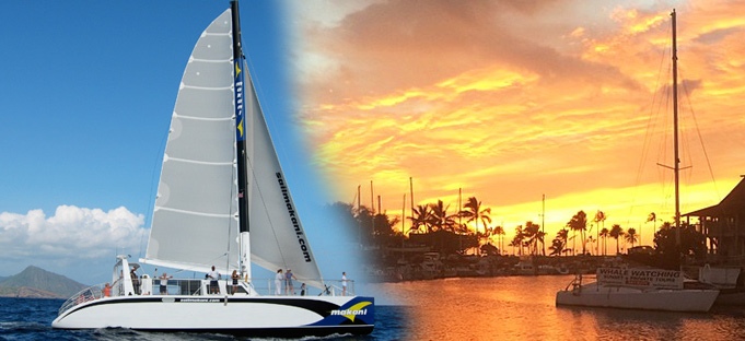 Oahu Sunset Sailing