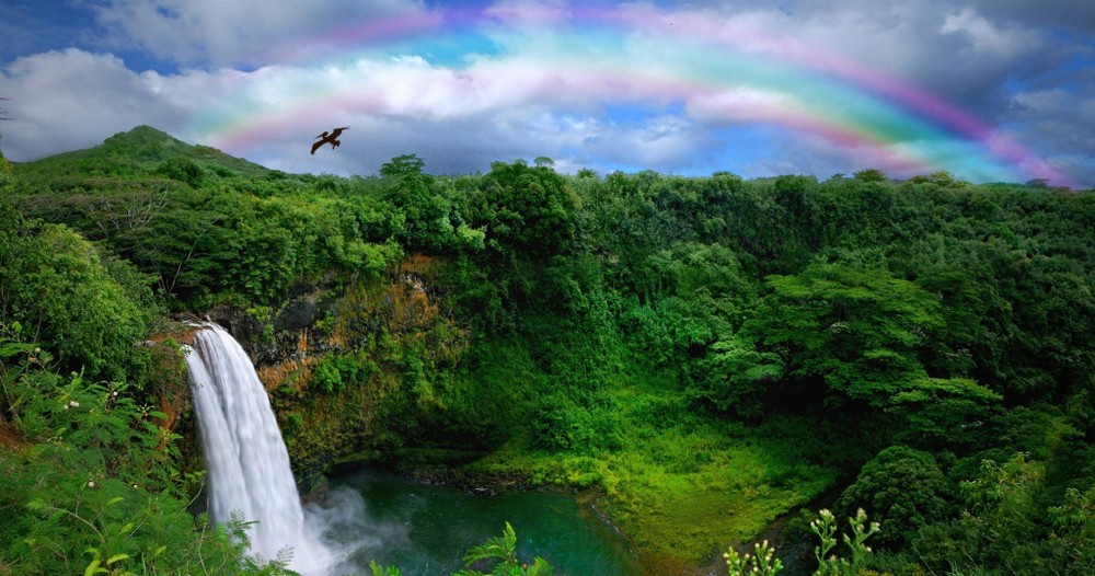 Helicopter & Movie Adventure (K3) Helicopter & Movie Adventure (K3)